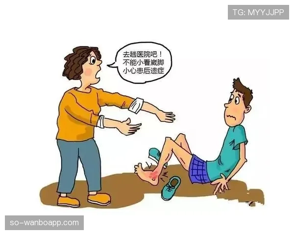 掷界外球判罚要点：双脚着地、双手越过头顶与违规处理